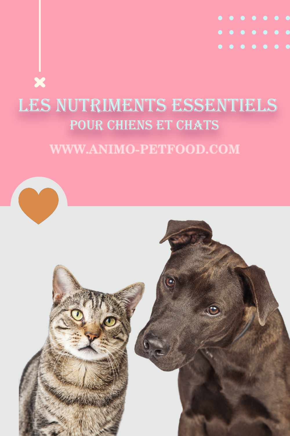 nutriments essentiels pour les chiens et les chats